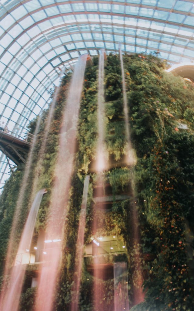 waterfall cloud forest