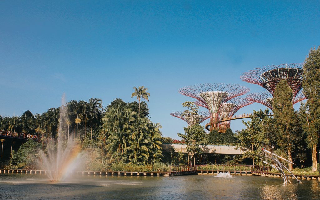 dragonfly lake gardens by the bay