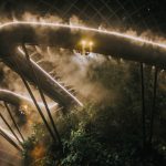 Megahnya Flower Dome dan Cloud Forest di Singapore