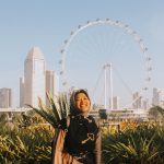 singapore flyer garden by the bay