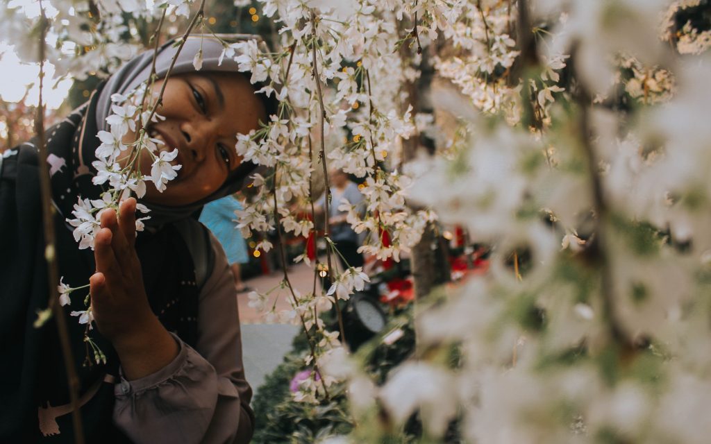 sakura matsuri 