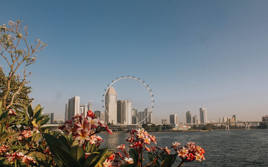 singapore flyer