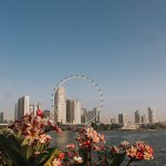 singapore flyer
