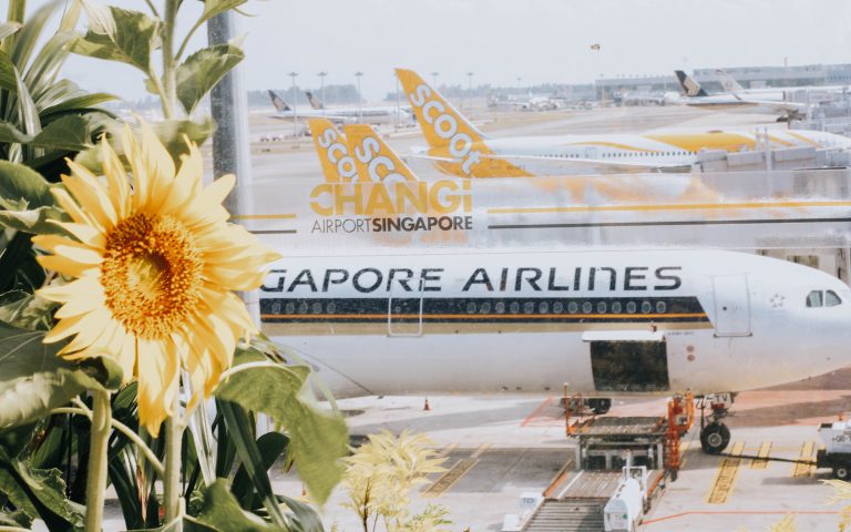 changi airport runway