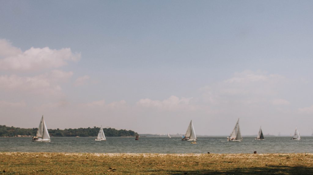 sailing at the beach