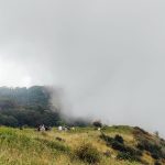 kew mae pan trail